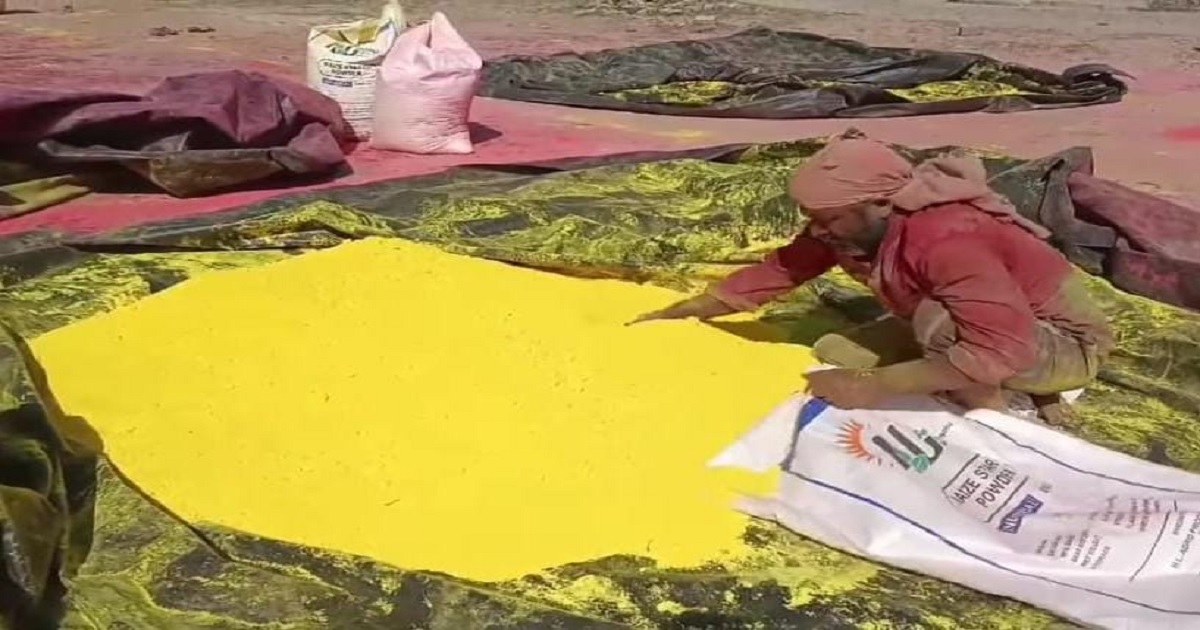 कानपुर में हर चौथे घर में बनता है रंग और गुलाल, जानें वृंदावन से लेकर बंगाल तक क्यों है इतना प्रसिद्ध
