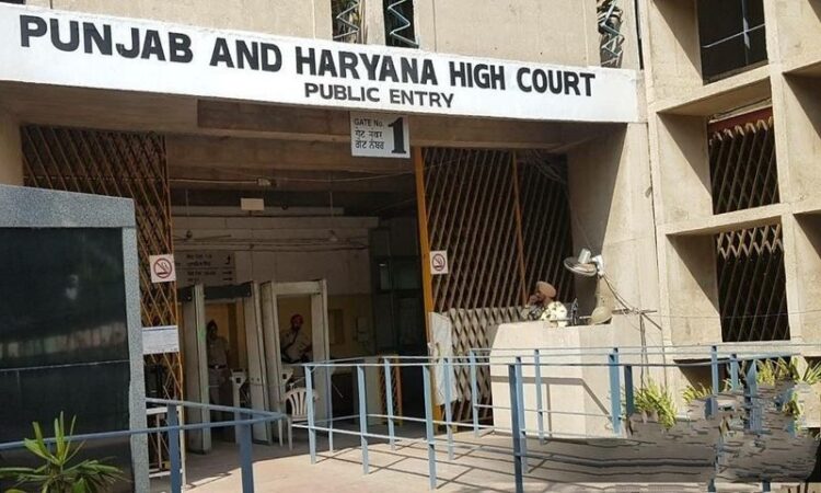 punjab and haryana high court