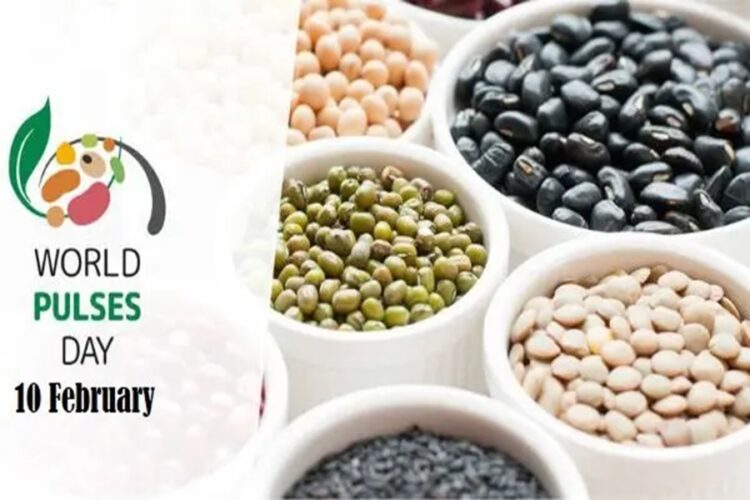 World Pulses Day 2024