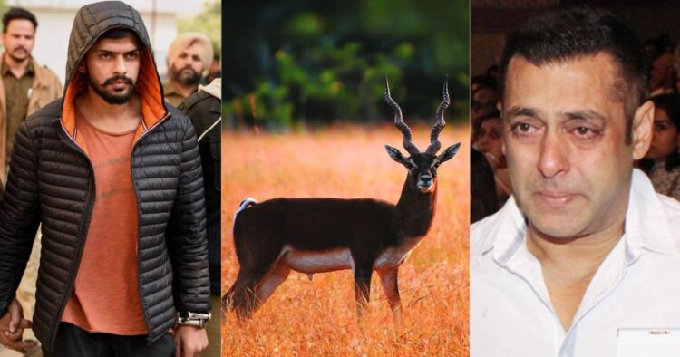 how-lawrence-bishnoi-became-salman-khans-enemy-what-is-blackbuck-case