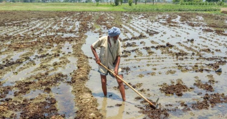 modi-government-gave-a-gift-to-farmers-cabinet-approved-to-increase-msp-on-14-kharif-crops