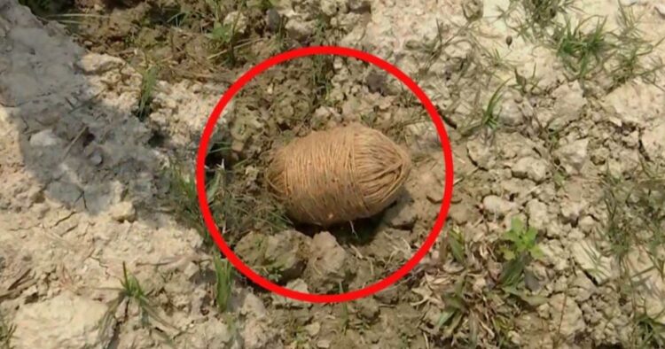 bomb-found-in-murshidabad-west-bengal