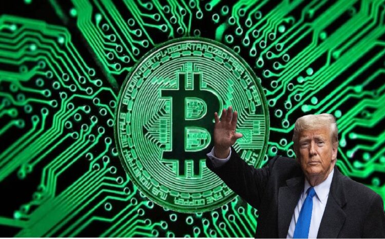 Donald Trump and Bitcoin