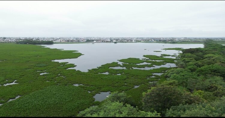 उदयपुर और इंदौर बने देश के पहले वेटलैंड शहर